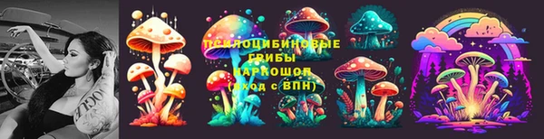 спайс Магадан