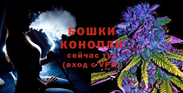 ECSTASY Майский