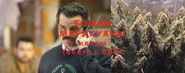 ECSTASY Майский