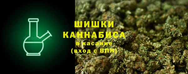 ECSTASY Майский